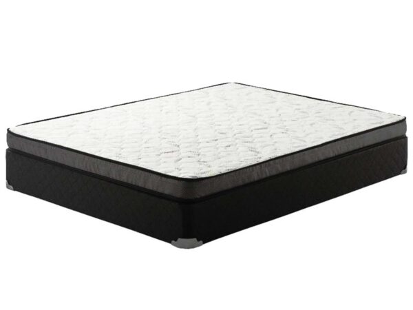 value mattresses at carson mattress outlet with mattress store in reno and a mattress store in carson city